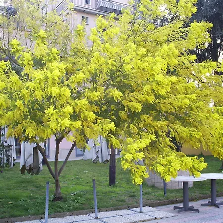 Pisani San Nicola La Strada