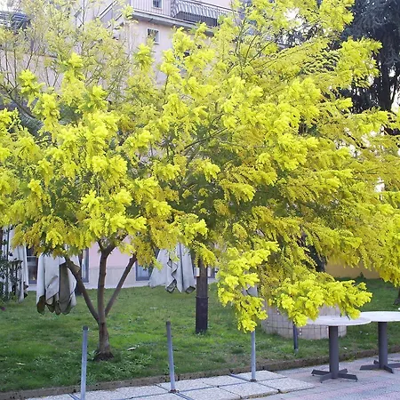 Pisani Hotel 3*
